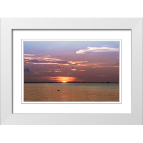 The sun rising behind the Skyway Bridge stunning purple sky and reflection on the Gulf of Mexico White Modern Wood Framed Art Print with Double Matting by Haddad, Sheila