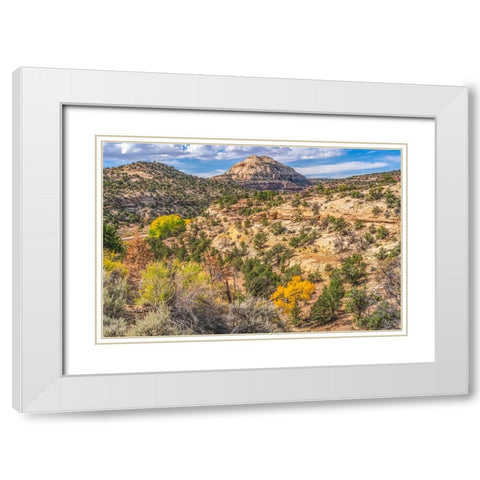 Colorful Autumn-Canyonlands National Park-Needles District-Utah White Modern Wood Framed Art Print with Double Matting by Perry, William