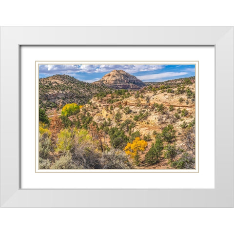Colorful Autumn-Canyonlands National Park-Needles District-Utah White Modern Wood Framed Art Print with Double Matting by Perry, William