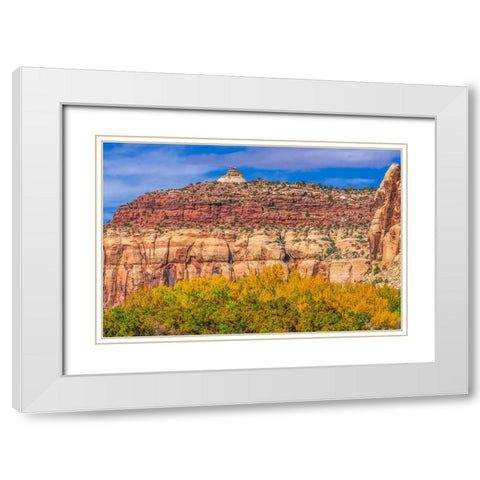 Colorful yellow cottonwood trees White Red Mountain Autumn-Canyonlands National Park-Needles Distri White Modern Wood Framed Art Print with Double Matting by Perry, William