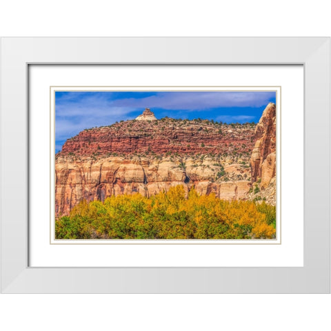 Colorful yellow cottonwood trees White Red Mountain Autumn-Canyonlands National Park-Needles Distri White Modern Wood Framed Art Print with Double Matting by Perry, William