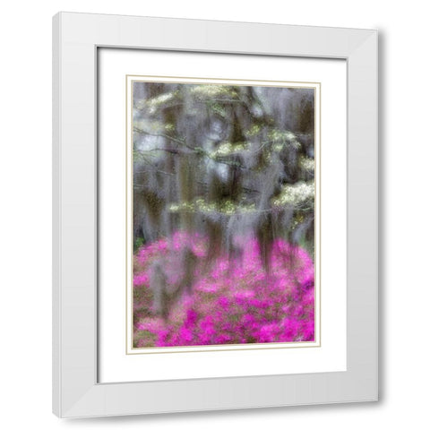 Soft focus view of flowering dogwood trees and azaleas in full bloom in spring-Bonaventure Cemetery White Modern Wood Framed Art Print with Double Matting by Jones, Adam