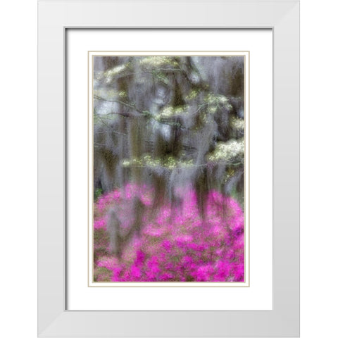 Soft focus view of flowering dogwood trees and azaleas in full bloom in spring-Bonaventure Cemetery White Modern Wood Framed Art Print with Double Matting by Jones, Adam