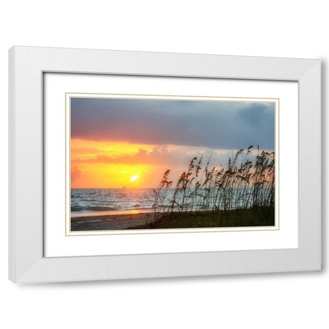Sunrise on Atlantic Beach White Modern Wood Framed Art Print with Double Matting by Miller, Anna