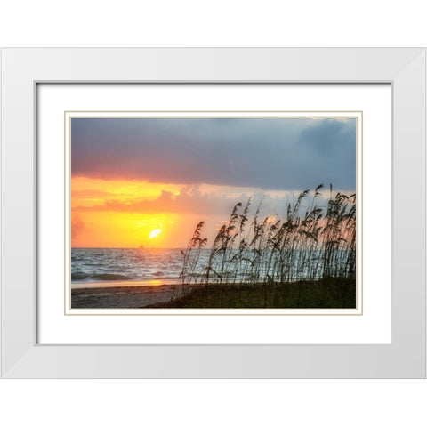 Sunrise on Atlantic Beach White Modern Wood Framed Art Print with Double Matting by Miller, Anna