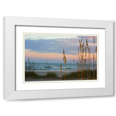 Sea Oats against Sunset Sky-Tybee Island-Georgia-USA White Modern Wood Framed Art Print with Double Matting by Miller, Anna
