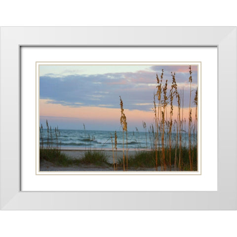 Sea Oats against Sunset Sky-Tybee Island-Georgia-USA White Modern Wood Framed Art Print with Double Matting by Miller, Anna