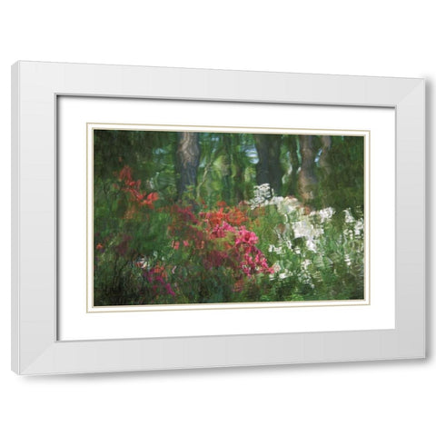 USA, Georgia, Azalea reflection in pond White Modern Wood Framed Art Print with Double Matting by Rotenberg, Nancy