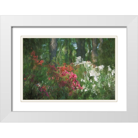 USA, Georgia, Azalea reflection in pond White Modern Wood Framed Art Print with Double Matting by Rotenberg, Nancy