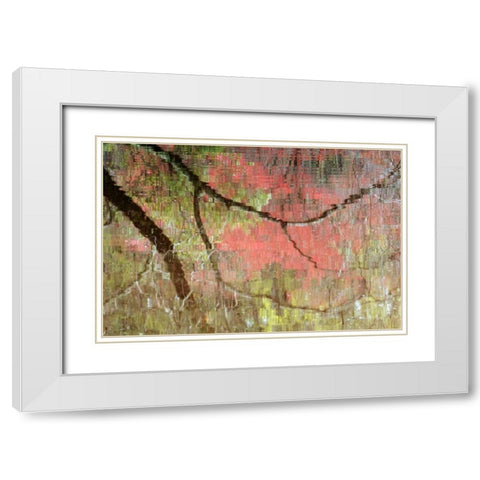 Georgia, Reflections of early spring buds in pond White Modern Wood Framed Art Print with Double Matting by Rotenberg, Nancy