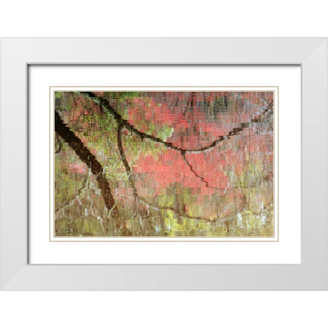 Georgia, Reflections of early spring buds in pond White Modern Wood Framed Art Print with Double Matting by Rotenberg, Nancy