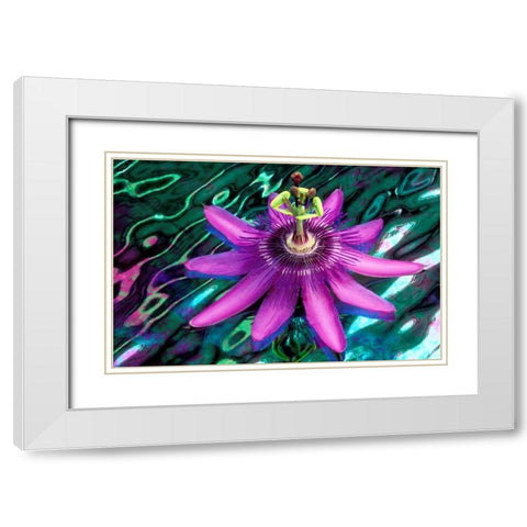 GA, Alpharetta Passion flower on stained glass White Modern Wood Framed Art Print with Double Matting by Needle, Charles