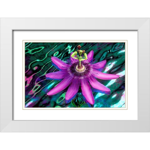 GA, Alpharetta Passion flower on stained glass White Modern Wood Framed Art Print with Double Matting by Needle, Charles