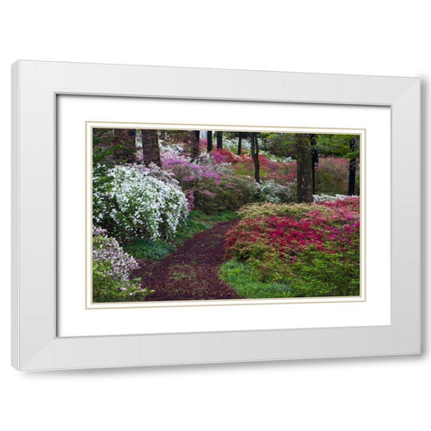 Georgia Pathway through trees and flower bushes White Modern Wood Framed Art Print with Double Matting by Rotenberg, Nancy