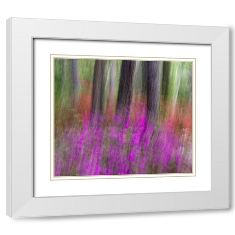 Colorful blurred garden abstract, Georgia White Modern Wood Framed Art Print with Double Matting by Rotenberg, Nancy