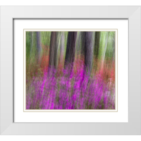 Colorful blurred garden abstract, Georgia White Modern Wood Framed Art Print with Double Matting by Rotenberg, Nancy