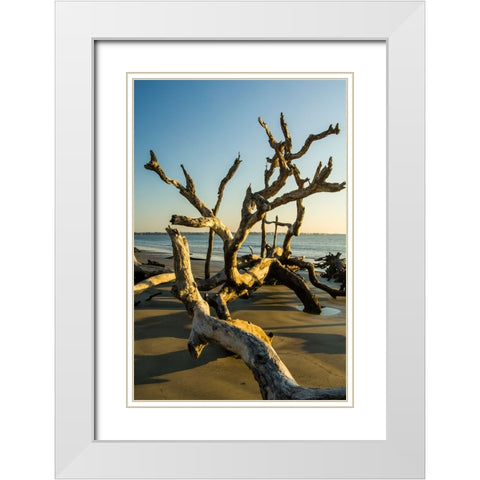 USA-Jekyll Island White Modern Wood Framed Art Print with Double Matting by Theodore, George and Marilu