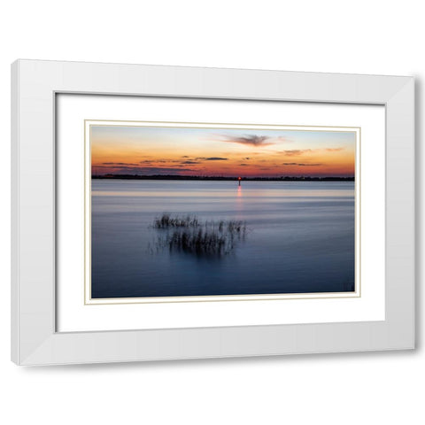 USA-Georgia-Jekyll Island-Sunset at Driftwood Beach and the petrified trees White Modern Wood Framed Art Print with Double Matting by Looney, Hollice