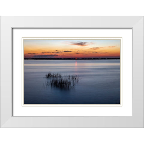 USA-Georgia-Jekyll Island-Sunset at Driftwood Beach and the petrified trees White Modern Wood Framed Art Print with Double Matting by Looney, Hollice