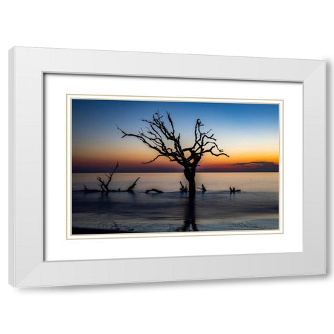 USA-Georgia-Jekyll Island-Sunrise on Driftwood Beach of petrified trees White Modern Wood Framed Art Print with Double Matting by Looney, Hollice