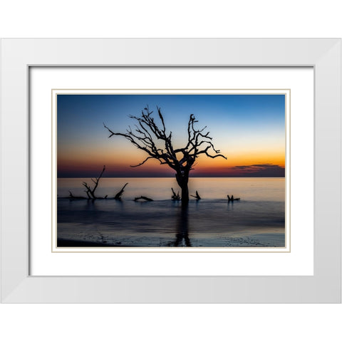 USA-Georgia-Jekyll Island-Sunrise on Driftwood Beach of petrified trees White Modern Wood Framed Art Print with Double Matting by Looney, Hollice