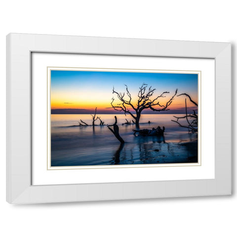USA-Georgia-Jekyll Island-Sunrise on Driftwood Beach of petrified trees White Modern Wood Framed Art Print with Double Matting by Looney, Hollice