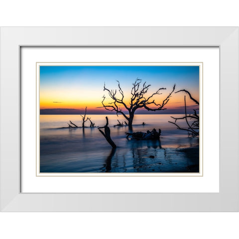 USA-Georgia-Jekyll Island-Sunrise on Driftwood Beach of petrified trees White Modern Wood Framed Art Print with Double Matting by Looney, Hollice