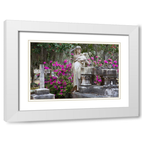Georgia-Savannah-Bonaventure Cemetery in the spring with azaleas in bloom White Modern Wood Framed Art Print with Double Matting by Wells, Joanne