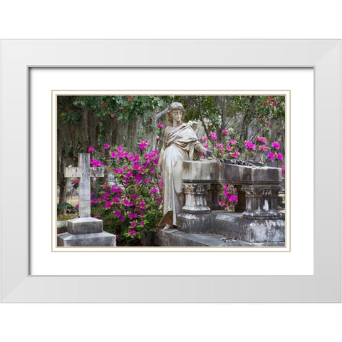 Georgia-Savannah-Bonaventure Cemetery in the spring with azaleas in bloom White Modern Wood Framed Art Print with Double Matting by Wells, Joanne