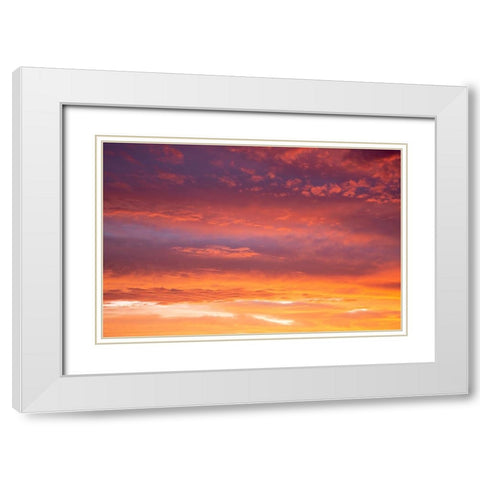 USA- Georgia- Clouds reflecting sunrise. White Modern Wood Framed Art Print with Double Matting by Wells, Joanne