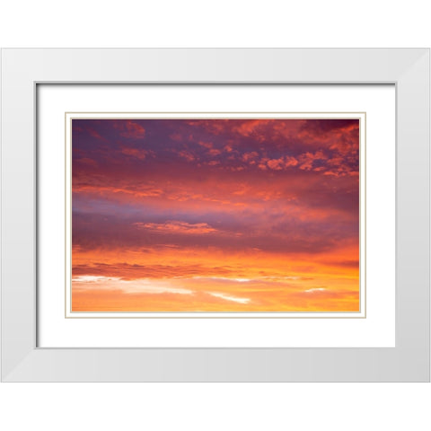 USA- Georgia- Clouds reflecting sunrise. White Modern Wood Framed Art Print with Double Matting by Wells, Joanne