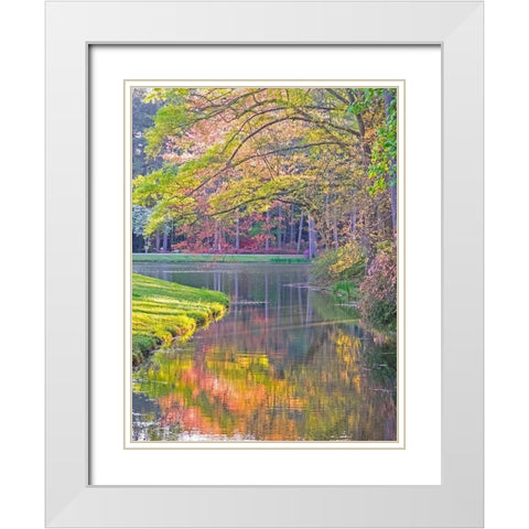 Georgia-Callaway gardens springtime White Modern Wood Framed Art Print with Double Matting by Gulin, Sylvia