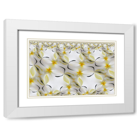 Plumerias a genus of flowering plants in the dogbane family-Maui-Hawaii White Modern Wood Framed Art Print with Double Matting by Jones, Adam