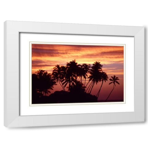 USA, Hawaii, Big Island Sunset over palm grove White Modern Wood Framed Art Print with Double Matting by Ross, Nancy ,  Steve