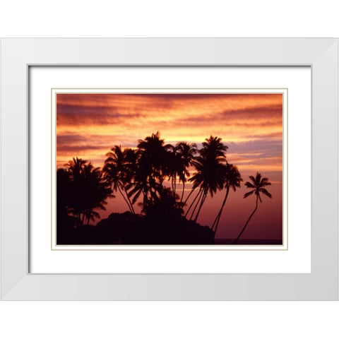 USA, Hawaii, Big Island Sunset over palm grove White Modern Wood Framed Art Print with Double Matting by Ross, Nancy ,  Steve