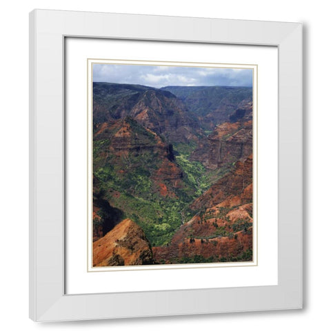 USA, Hawaii, Kauai Waimea Canyon overlook White Modern Wood Framed Art Print with Double Matting by Flaherty, Dennis
