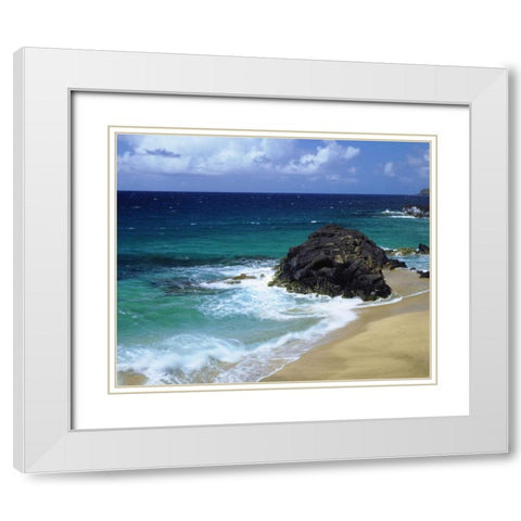 Hawaii, A wave breaks on a beach White Modern Wood Framed Art Print with Double Matting by Talbot Frank, Christopher