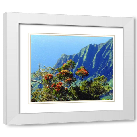 HI, Kauai Flowering tree above the Na Pali Coast White Modern Wood Framed Art Print with Double Matting by Talbot Frank, Christopher
