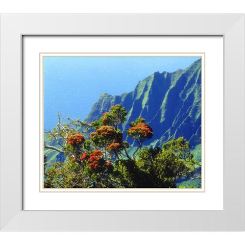 HI, Kauai Flowering tree above the Na Pali Coast White Modern Wood Framed Art Print with Double Matting by Talbot Frank, Christopher