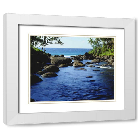 HI, Kauai Stream on the Na Pali coast White Modern Wood Framed Art Print with Double Matting by Talbot Frank, Christopher