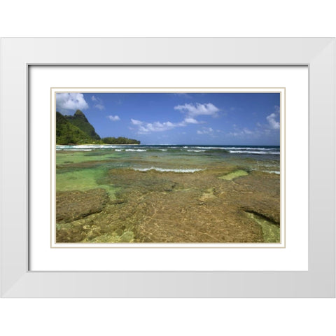 Hawaii, Kauai Coral formations on Tunnels Beach White Modern Wood Framed Art Print with Double Matting by Flaherty, Dennis