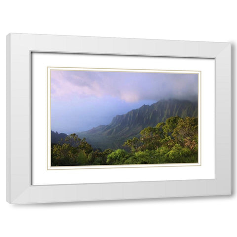 Hawaii, Kauai Kalalau Overlook of Na Pali Coast White Modern Wood Framed Art Print with Double Matting by Flaherty, Dennis