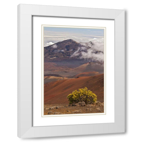 Hawaii, Maui, Haleakala NP Mountain Scenic White Modern Wood Framed Art Print with Double Matting by Illg, Cathy and Gordon