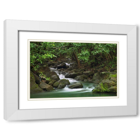 Hawaii, Kauai Creek flowing from a rainforest White Modern Wood Framed Art Print with Double Matting by Flaherty, Dennis