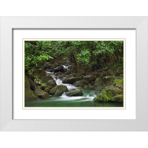 Hawaii, Kauai Creek flowing from a rainforest White Modern Wood Framed Art Print with Double Matting by Flaherty, Dennis