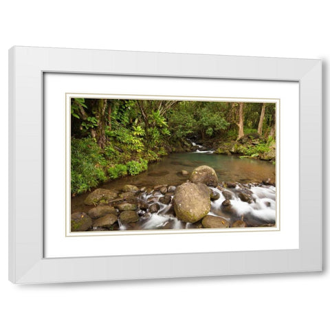 Hawaii, Kauai Creek flowing from a rainforest White Modern Wood Framed Art Print with Double Matting by Flaherty, Dennis