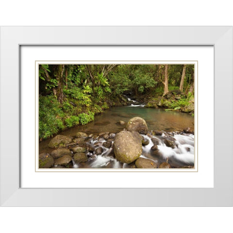 Hawaii, Kauai Creek flowing from a rainforest White Modern Wood Framed Art Print with Double Matting by Flaherty, Dennis