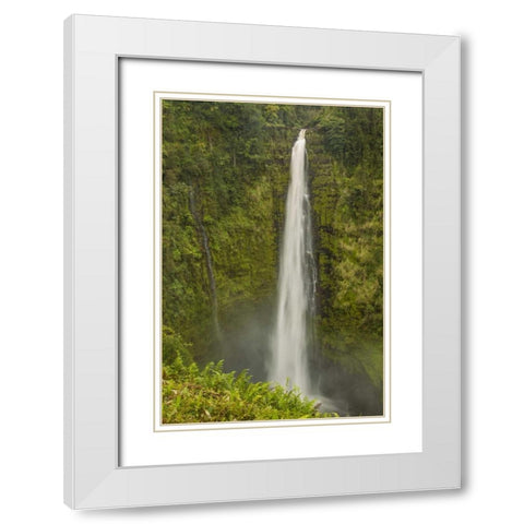HI, Big Island, Akaka Falls SP, Akaka Falls White Modern Wood Framed Art Print with Double Matting by Illg, Cathy and Gordon