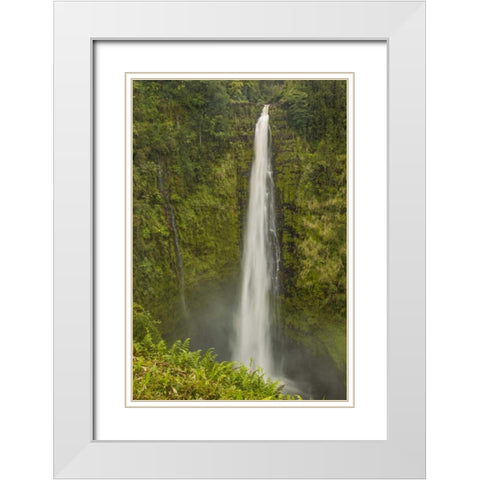 HI, Big Island, Akaka Falls SP, Akaka Falls White Modern Wood Framed Art Print with Double Matting by Illg, Cathy and Gordon