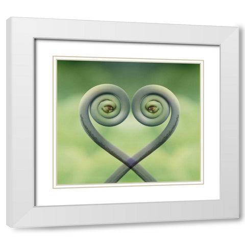 Hawaii Frond montage at Akaka Falls State Park White Modern Wood Framed Art Print with Double Matting by Bush, Marie